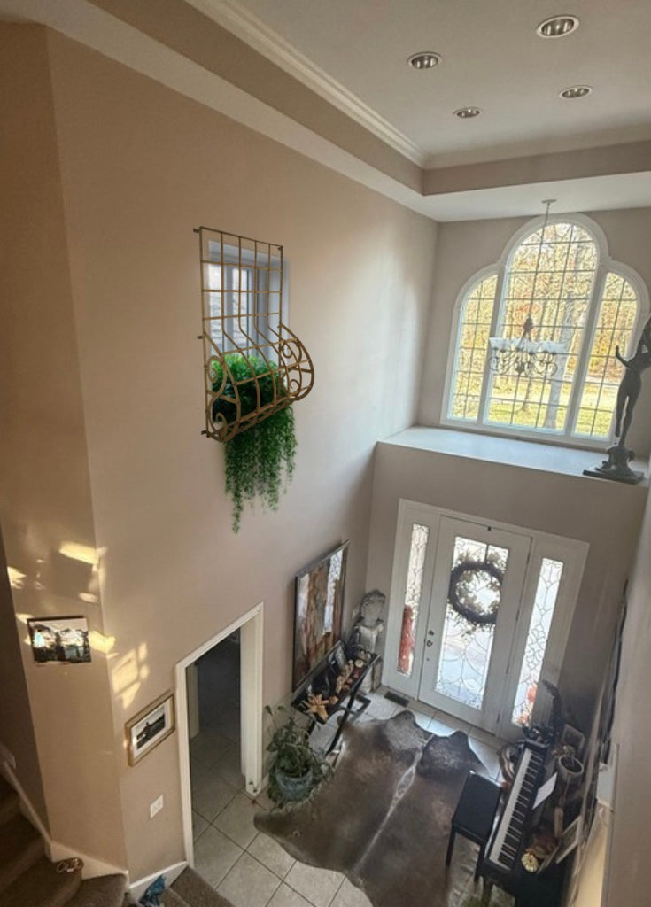 Custom Wrought Iron Window Guard