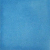 blue talavera tile